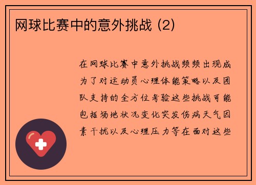 网球比赛中的意外挑战 (2)